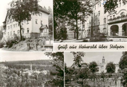 73900189 Hohwald Neustadt Sachsen Bezirksklinik Fuer Rehabilitation Panorama Tei - Other & Unclassified