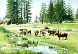 28-4-2023 (3 Z 16) Norfolk Island (2 Postcards) - Norfolk Island