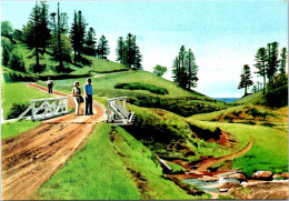 28-4-2023 (3 Z 16) Norfolk Island (2 Postcards) - Norfolk Island