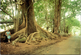 28-4-2023 (3 Z 16) Norfolk Island (2 Postcards) - Norfolk Island