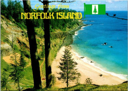 28-4-2023 (3 Z 16) Norfolk Island (2 Postcards) - Norfolk Island