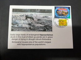 28-4-2024 (3 Z 17) Endengered Hippopotamus Stuk In Mud Or Dried Ponds In Botswana - Other & Unclassified