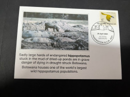 28-4-2024 (3 Z 17) Endengered Hippopotamus Stuk In Mud Or Dried Ponds In Botswana - Autres & Non Classés