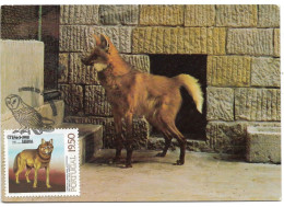 Zoo De Lisboa - Tarjetas – Máximo