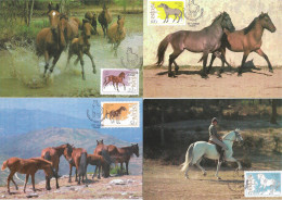 Cavalo Raça Portuguesa - Maximum Cards & Covers