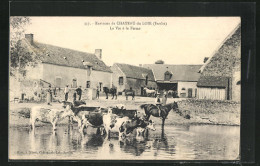 CPA Chateau-du-Loir, La Vie à La Ferme  - Chateau Du Loir