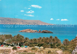 73783296 Sitia Crete Greece Palmen Wald Panorama  - Griekenland