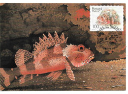 Peixes Da Madeira - Maximum Cards & Covers