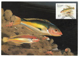 Peixes Da Madeira - Maximum Cards & Covers