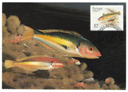 Peixes Da Madeira - Cartes-maximum (CM)
