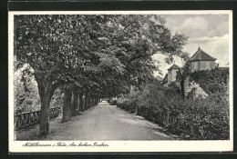 AK Mühlhausen I. Thür., Am Hohen Graben  - Muehlhausen