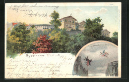 Lithographie Thale, Gasthaus Rosstrappe, Sprung übers Bodetal  - Thale