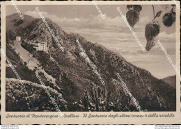At645 Cartolina  Santuario Di Montevergine Avellino - Avellino