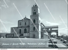 Br293 Cartolina Santuario Di S.gerardo Maiella Avellino Campania - Avellino