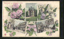 CPA Carrouges, Chateau, Pavillon D`Entree Dit Le Chalet, Rue De Crochet  - Carrouges