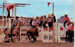 73949198 Calgary_Alberta_Canada Cowtown Traditions At The Famous Stempede - Sin Clasificación