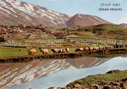 73835919 Golan Heights Golanhoehen Israel Panorama  - Israel