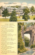 73550538 Virginia_US-State Natural Bridge - Altri & Non Classificati