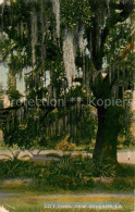 73545623 New_Orleans_Louisiana City Park - Andere & Zonder Classificatie