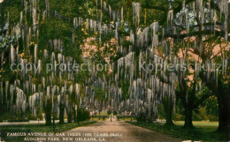 73545622 New_Orleans_Louisiana Famous Avenue Of Oak Trees Audubon Park - Andere & Zonder Classificatie