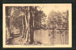 CPA St-Amand-en-Puisaye, Etang Des Gaborets  - Saint-Amand-en-Puisaye