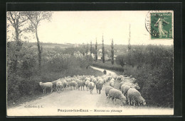 CPA Pougues-les-Eaux, Moutons Au Pâturage  - Pougues Les Eaux