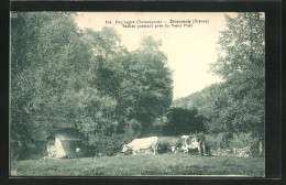 CPA Dornecy, Paysages Clamecycois, Vaches Paissant Prés Du Vieux Pont  - Clamecy