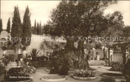 72193414 Palaestina Garten Gethsemane Palaestina - Israel