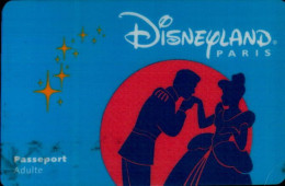 PASSEPORT DISNEY......ADULTE - Passeports Disney