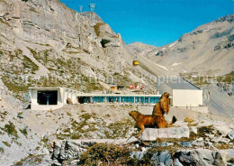 12751734 Crans-Montana Restaurant Des Violettes Teleferique De La Plaine Morte B - Other & Unclassified