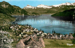 12743221 Weggis Vierwaldstaettersee Panorama Blick Ueber Den See Alpen Weggis - Sonstige & Ohne Zuordnung