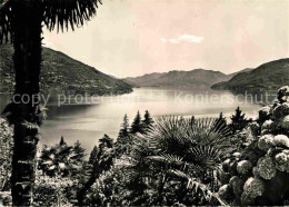 12741848 Brissago TI Panorama Lago Maggiore Brissago - Autres & Non Classés