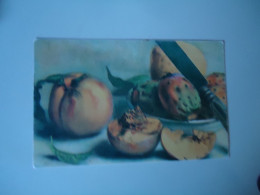 ITALY   POSTCARDS  PAINTINGS FROUITS  FOR MORE PURCHASES 10% DISCOUNT - Altri & Non Classificati