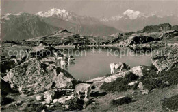 12735121 Riederalp Blauseeli Almvieh Kuehe Bergsee Mischabel Matterhorn Weisshor - Andere & Zonder Classificatie