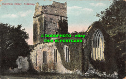 R535137 Muckross Abbey. Killarney. Lawrence - Monde