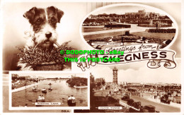 R534563 Greetings From Skegness. Boating Lake. Bamforth. RP. Multi View - Monde