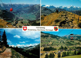 12733143 Rinderberg Hoehenweg Rinderberg Hornberg Horneggli Alpenpanorama Rinder - Sonstige & Ohne Zuordnung