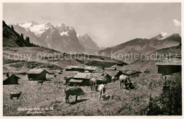 12732902 Maegisalp Panorama Meiringen Hasliberg - Sonstige & Ohne Zuordnung