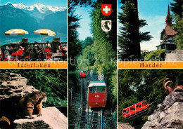 12720514 Interlaken BE Harder Restauant Zahnradbahn Gemse Murmeltier Interlaken - Sonstige & Ohne Zuordnung