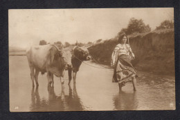 ROUMANIE - Agriculture / Paysanne - Roumanie