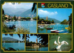 12719868 Caslano Lago Di Lugano Luganersee Alpen Kirche Schwan Caslano - Sonstige & Ohne Zuordnung