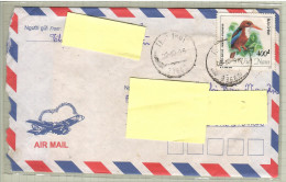 Vietnam 1996, Bird, Birds, Kingfisher, Circulated Cover - Autres & Non Classés