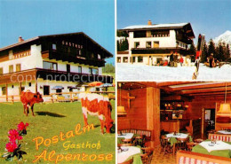 73782665 Strobl Wolfgangsee AT Gasthof Alpenrose Postalm Kuehe Wintersport  - Altri & Non Classificati