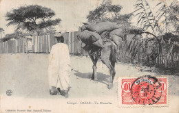 SENEGAL DAKAR UN CHAMELIER  - Sénégal