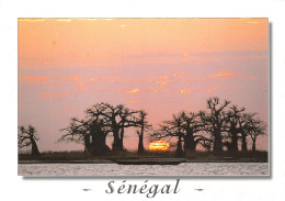 SENAGAL SALOUM - Sénégal
