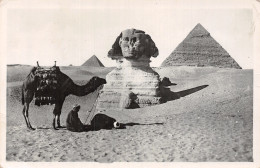 EGYPT LE SPHINX  - Sphinx