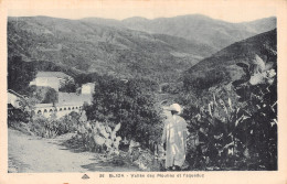 ALGERIE BLIDA VALLEE DES MOULINS ET L AQUEDUC  - Blida