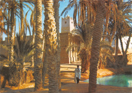 TUNISIE SUD - Tunesië