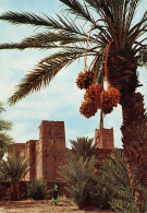 MAROC FES - Fez (Fès)