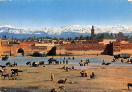 MAROC MARRAKECH - Marrakesh